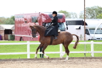 SBM_03327