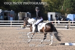 BPP_8897
