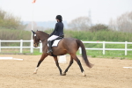 SBM_006640