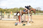 SBM_001161
