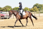SBM_001387