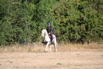 WJ6_7074