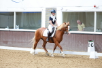 SBM_008053
