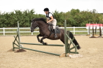 SBM_002974