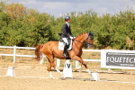 SBM_006529