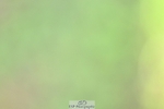 261014-115330-00304