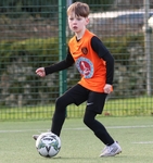 Newlaithes portfolio