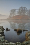 Morning Solitude