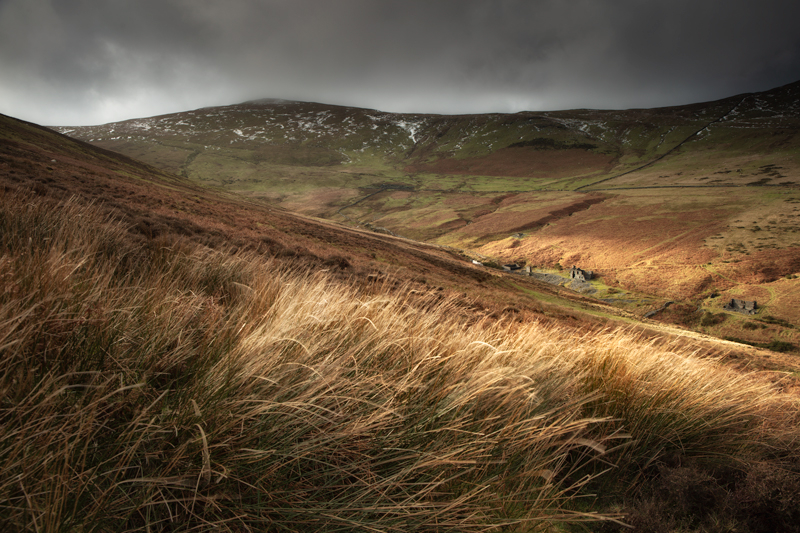 In them thar hills
