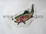 Taupo Trout Chasing a Glo Bug Watercolour.