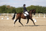 SBM_022557