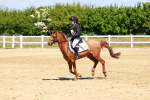 SBM_007499