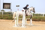Class 4: Senior British Novice/90cm open portfolio
