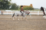 SBM_21808
