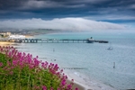 z3787 Rising Mist, Sandown Bay
