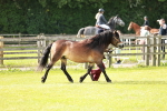 SBM_00642