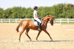 SBM_010187