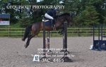 CLASS 5 Senior 1.05m Open portfolio