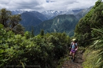 Alex Knob Hike Fox Glacier