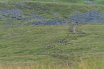 Ingleborough-524