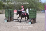 BPP_0941