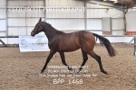 BPP_1468