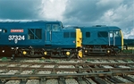 31st Aug 2001