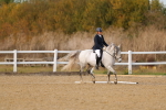 SBM_010625