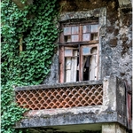 2 Overgrown Balcony