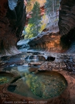 Enchanted Pools