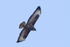 20120325-_MG_9979