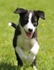 20 Nine weeks old