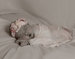 Willow 7
