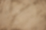 20260913-0677