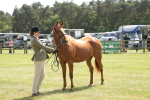 SBM_09091