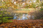 Autumn Colours at Duncan's Dam, Lisburn, County Antrim.