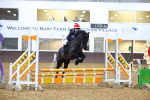 Class 4 - Festive Fences - 70cm portfolio