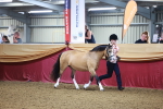 SBM_14673