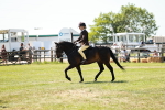 SBM_17653