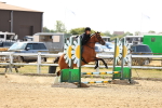 SBM_000829