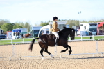 SBM_08769