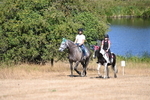 WJ6_8215