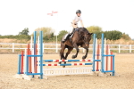 SBM_002304
