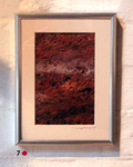Bark study 3 (1999)