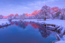 River Wey