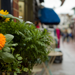 North Lanes flower shop