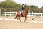 SBM_01560