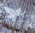 Spring Ice--Backus woods