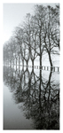 1  REFLECTIONS