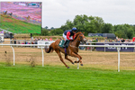170826-Race 5-Our Absent Friends-9756